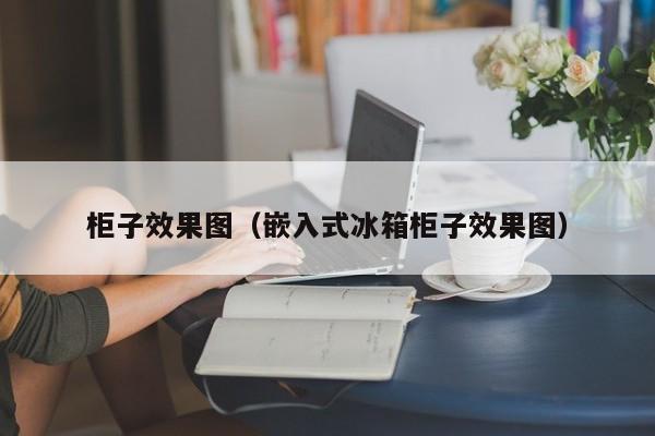 柜子效果图（嵌入式冰箱柜子效果图）