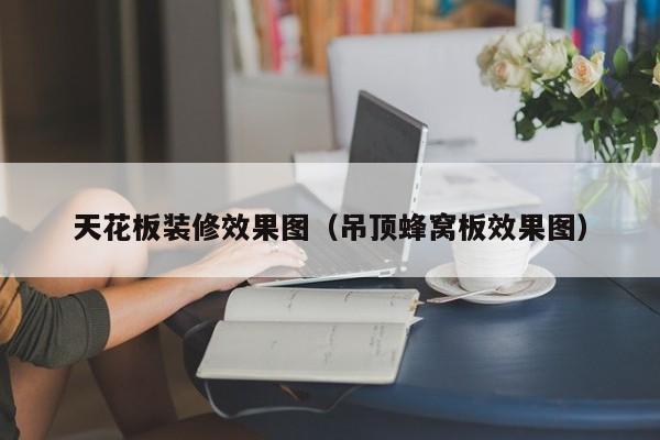 天花板装修效果图（吊顶蜂窝板效果图）