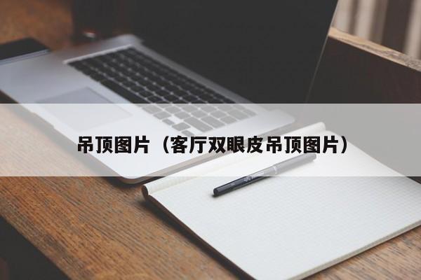 吊顶图片（客厅双眼皮吊顶图片）